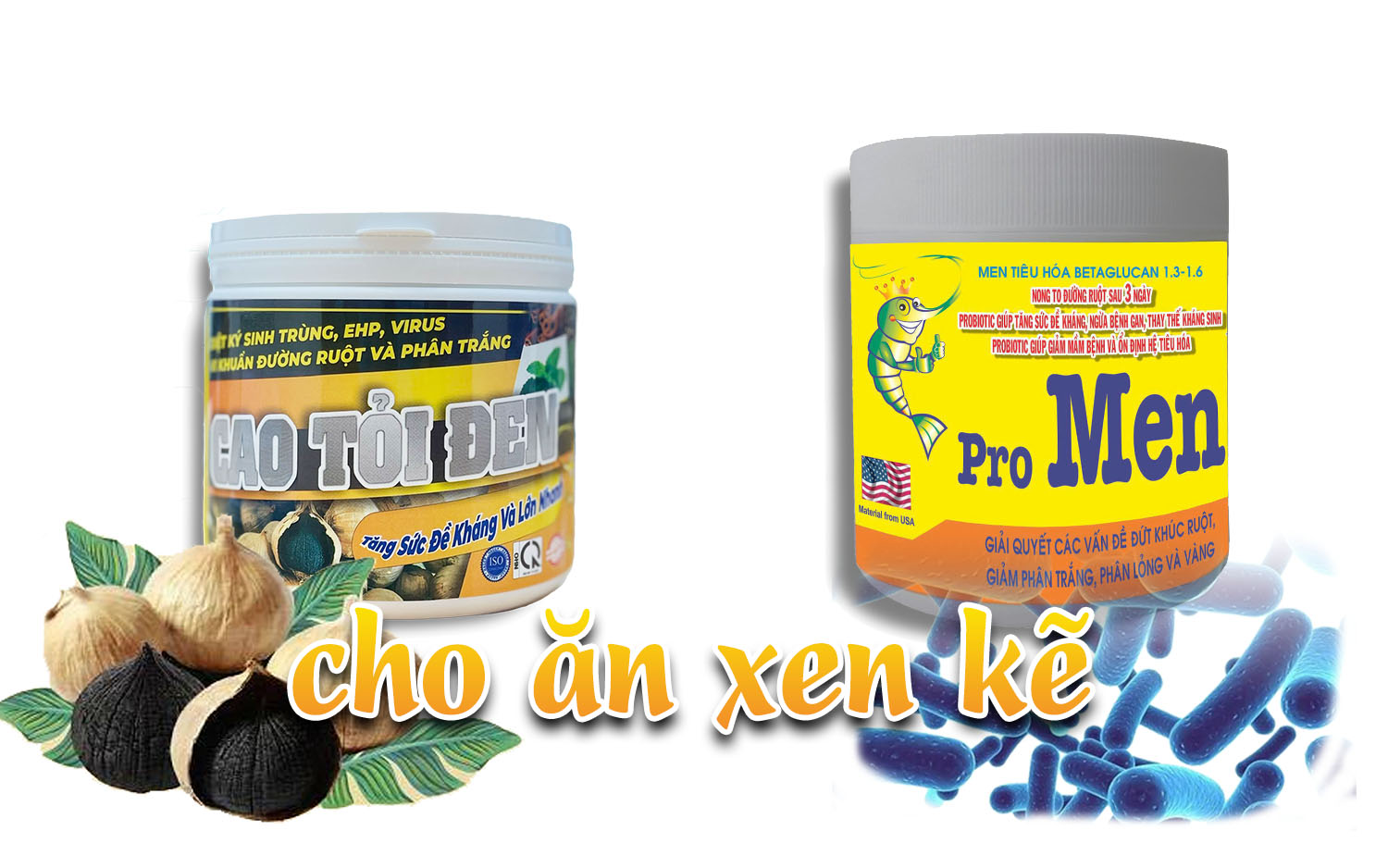 cho tôm ăn tỏi đen với men tiêu hóa 