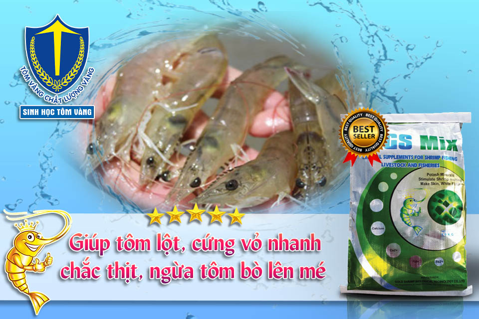 KHOÁNG TẠT THỦY SẢN TỐT NHẤT