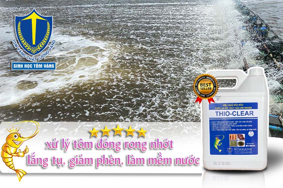 THIO CLEAR sinh học tôm vàng