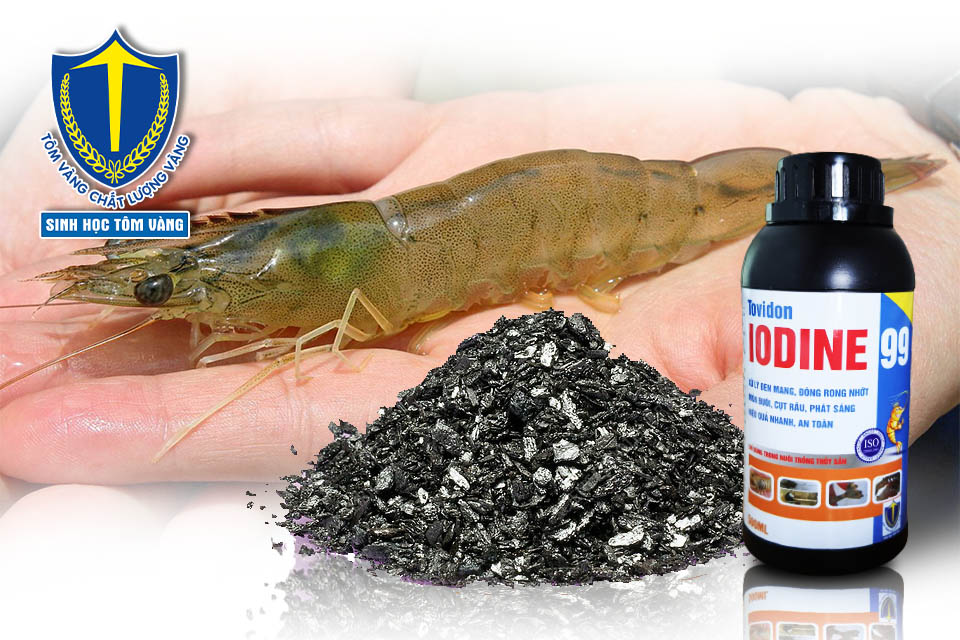 Thuốc IODINE thủy sản