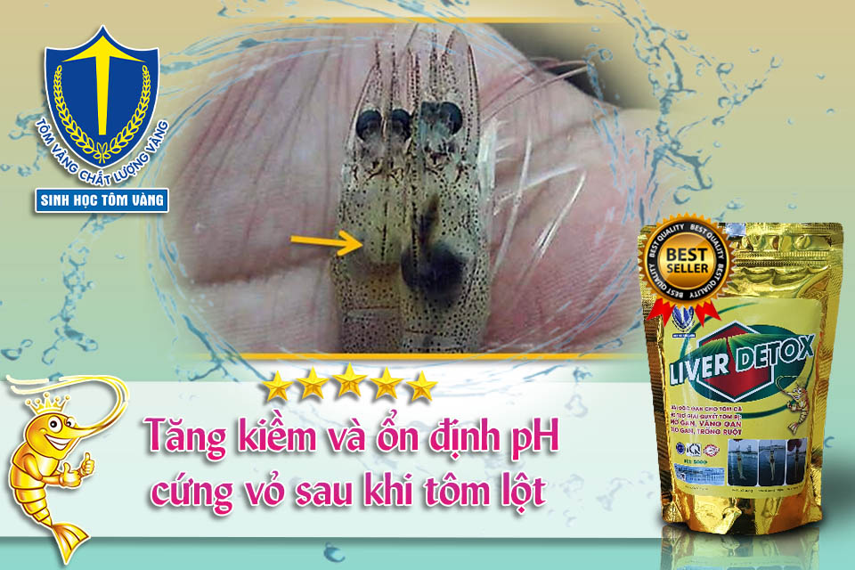 Thuốc giải độc gan thủy sản