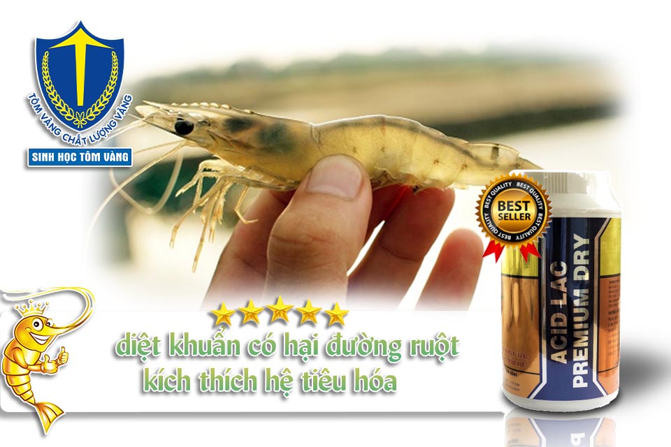 acid hữu cơ cho tôm SINH HỌC TÔM VÀNG