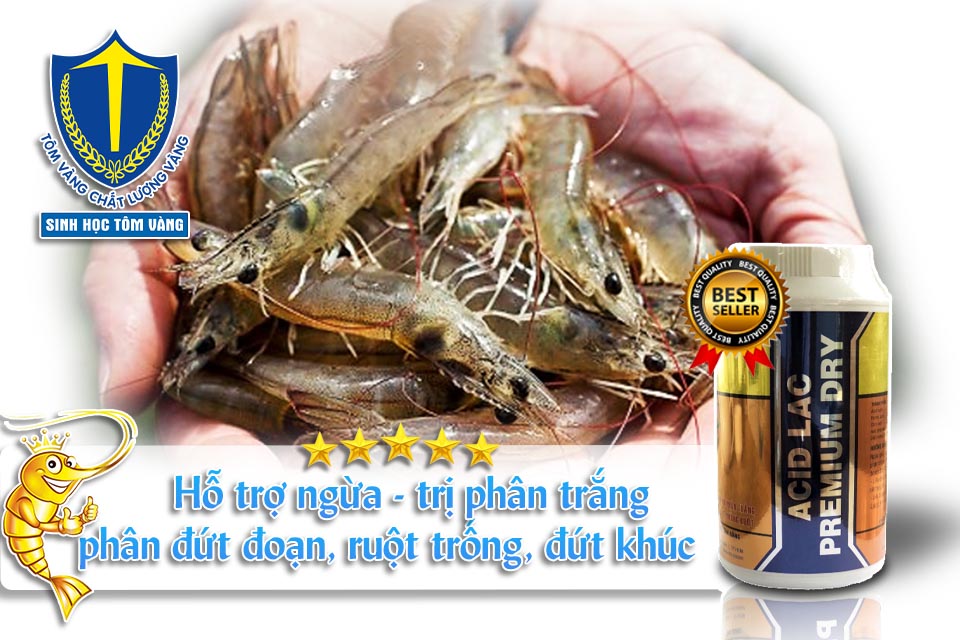 acid hữu cơ trong nuôi trồng thủy sản SINH HỌC TÔM VÀNG