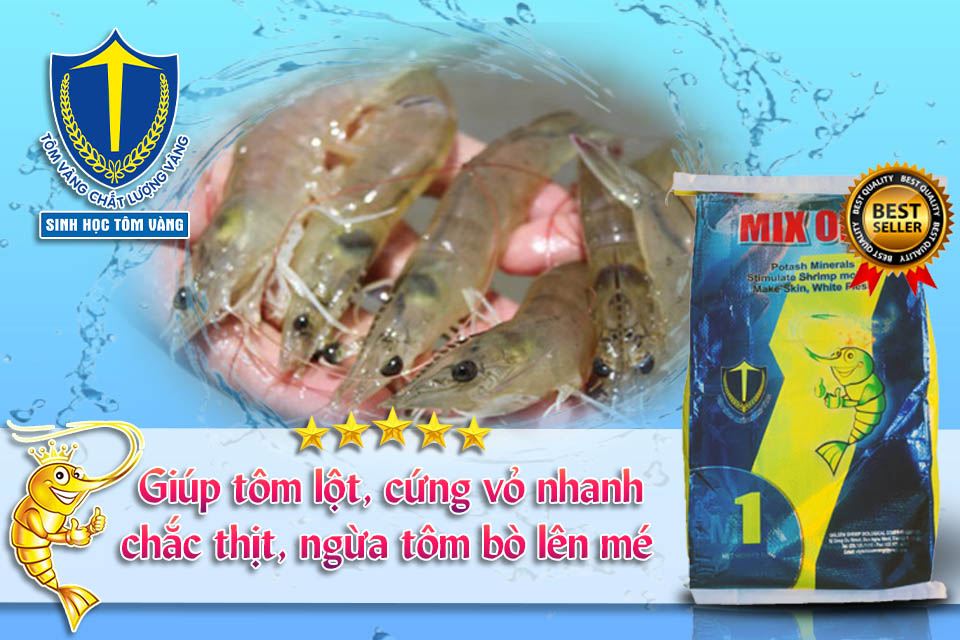bổ sung khoáng cho tôm