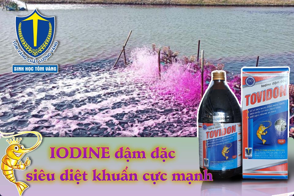cách sử dụng iodine trong thủy sản