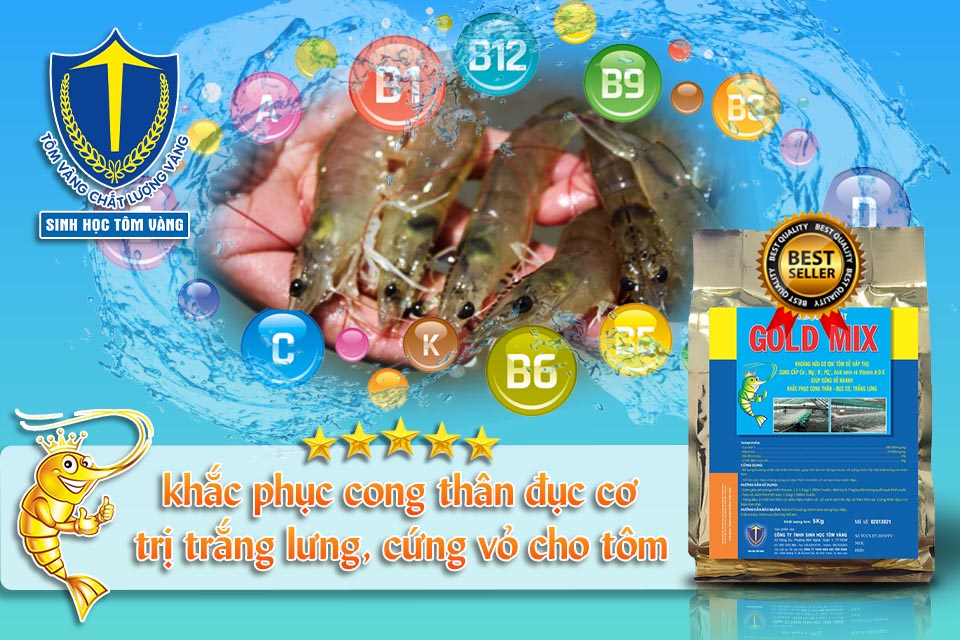 cách trị cong thân đục cơ