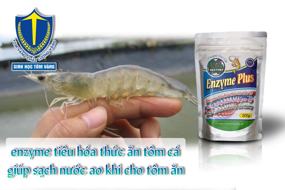 enzyme cho tôm