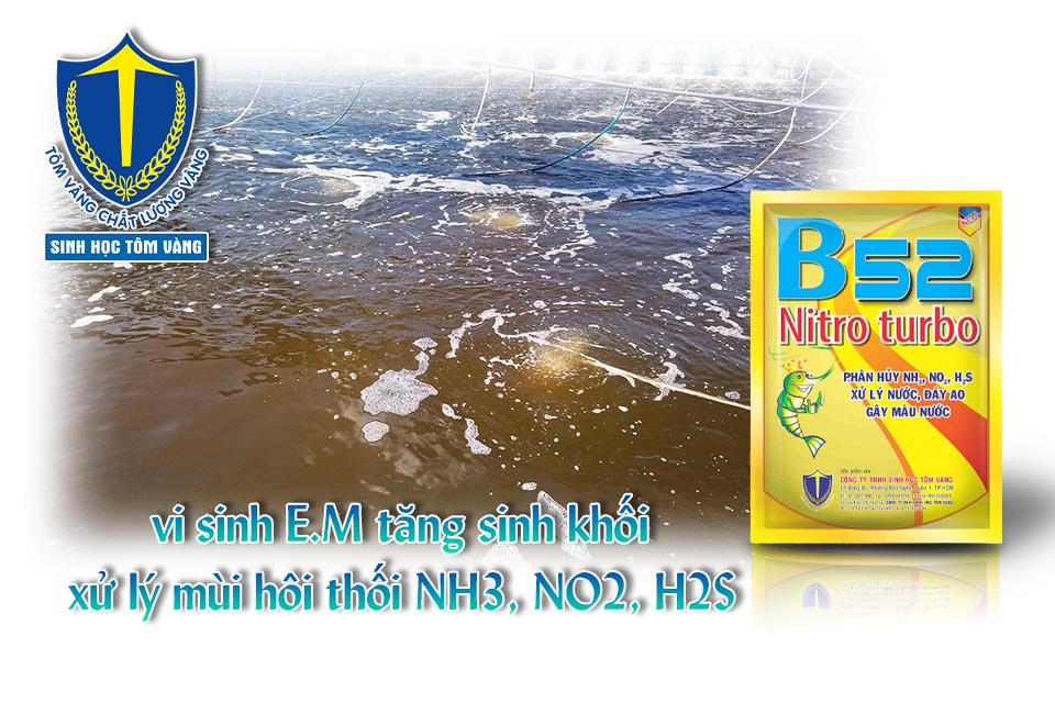 che pham vi sinh trong nuoi trong thuy san