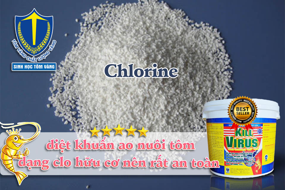 chlorine trong thủy sản