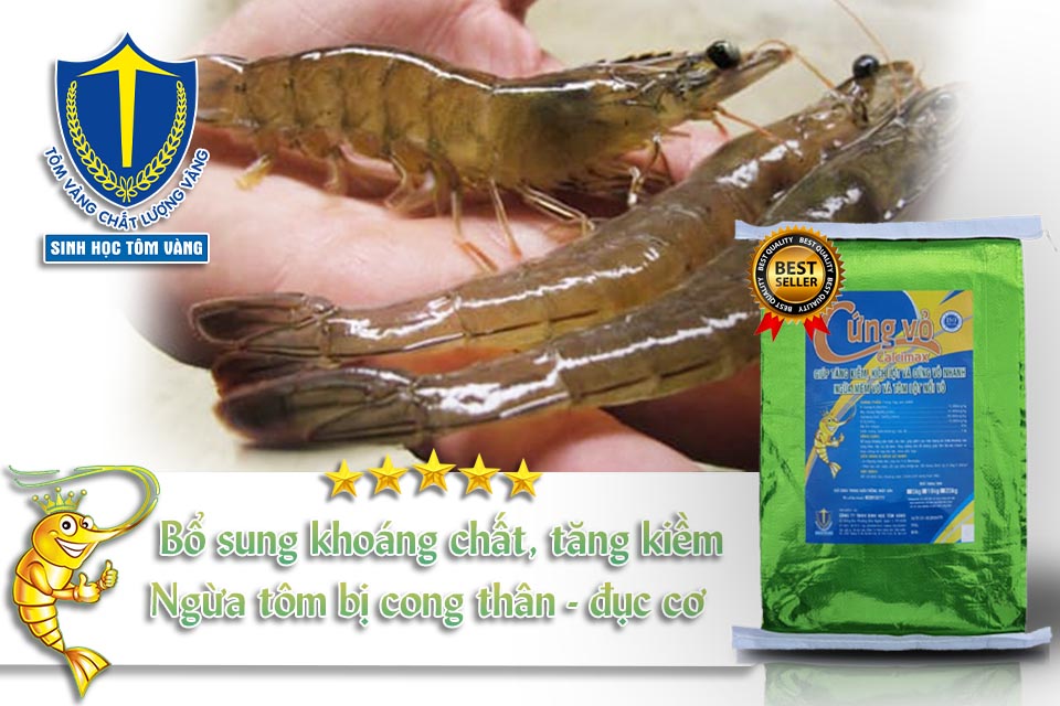 khoáng calci cho tôm thẻ 10kg - SINH HỌC TÔM VÀNG