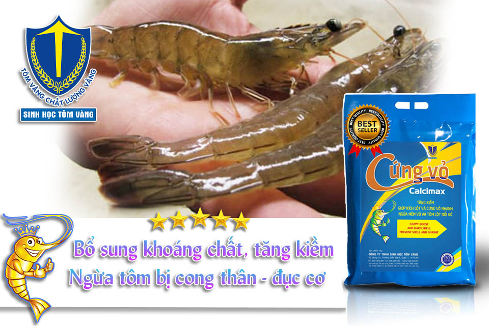khoáng calci cho tôm thẻ SINH HỌC TÔM VÀNG