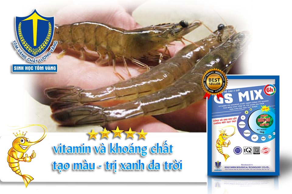 khoáng cứng vỏ nhanh - sinh học tôm vàng
