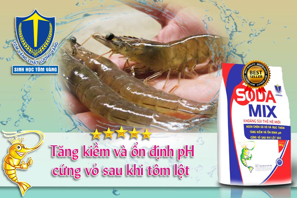 khoáng sủi cho tôm cá