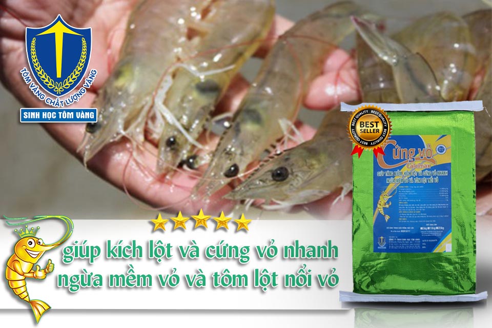 khoáng tạt cứng vỏ cho tôm 10kg - sinh học tôm vàng