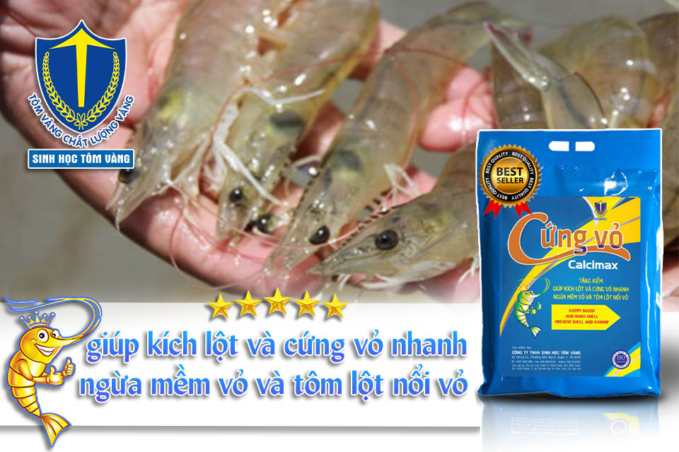 khoáng tạt cứng vỏ cho tôm SINH HỌC TÔM VÀNG