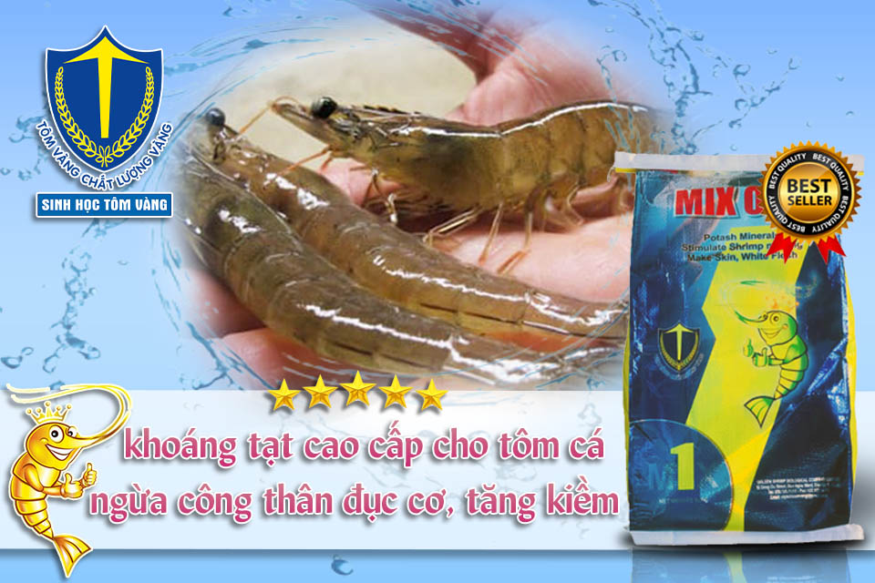 khoáng tạt số 1 hiện nay