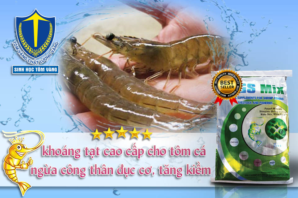 khoáng tạt tốt nhất trên thị trường