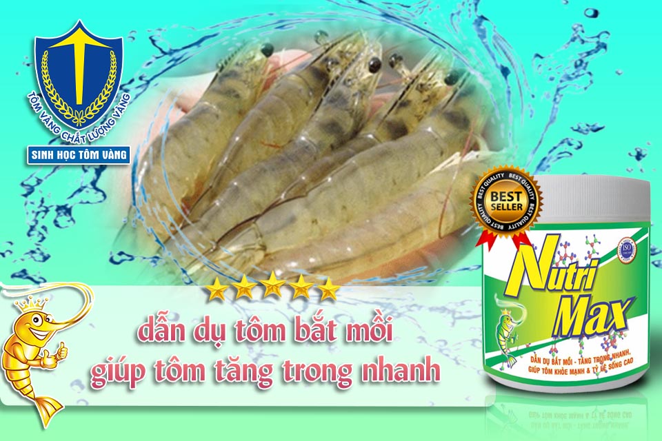 kích thích tôm bắt mồi