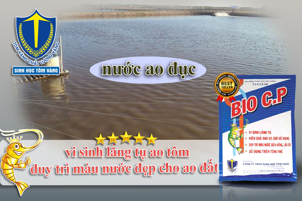 lắng tụ ao tôm