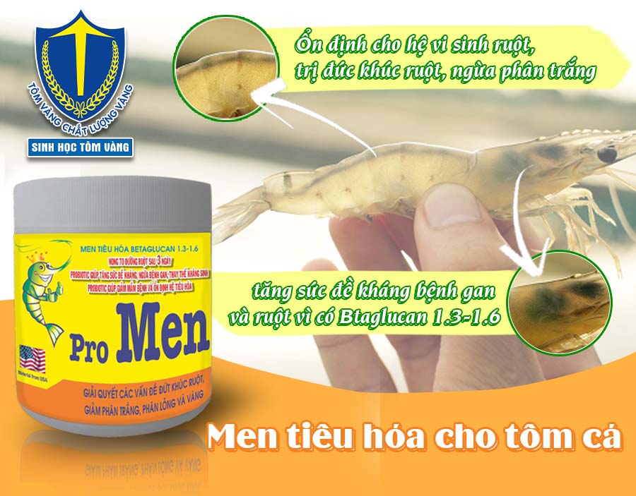 men tieu hoa cho tom hieu qua nhat