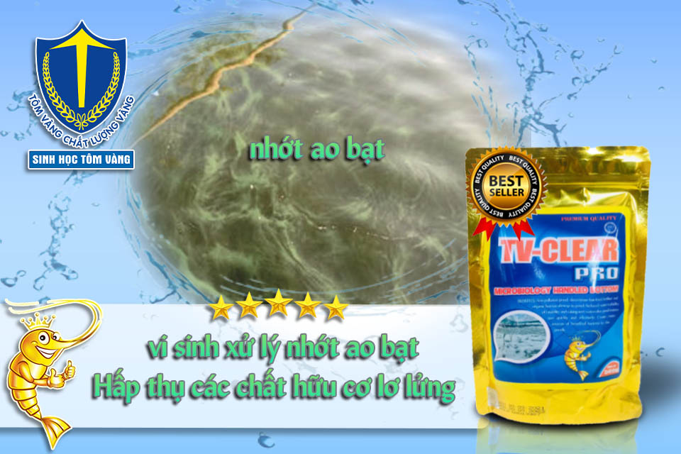 sạch nước ao tôm