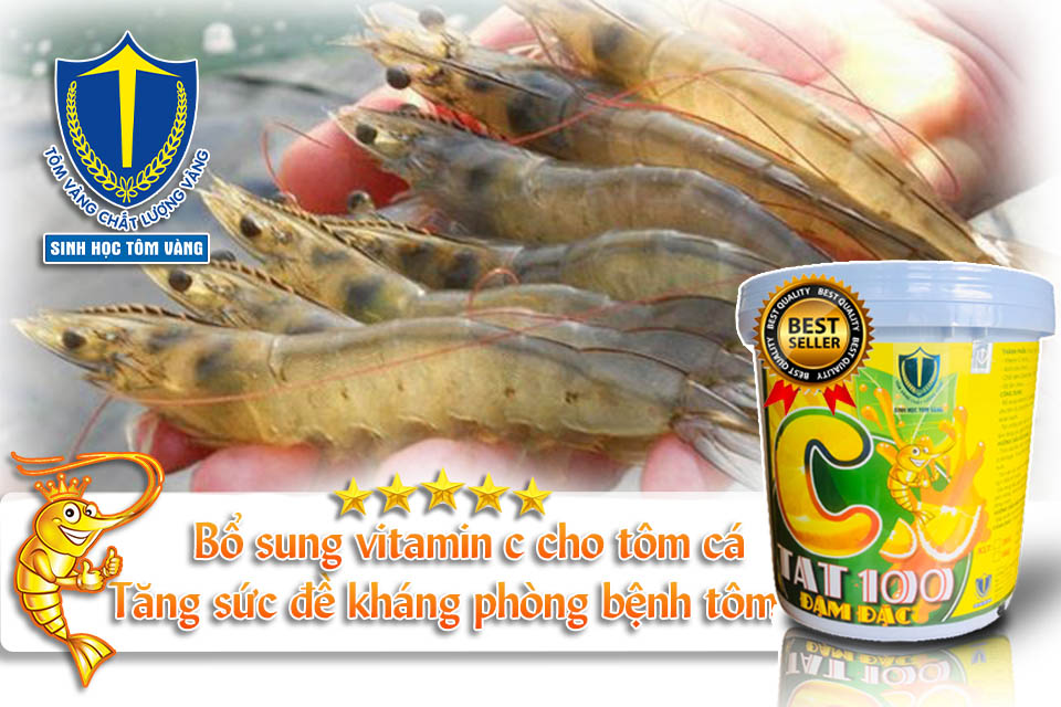 tăng sức đề kháng cho tôm - SINH HỌC TÔM VÀNG