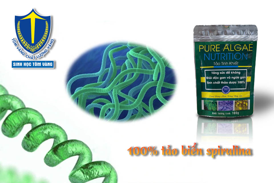 tảo biển spirulina cho tôm
