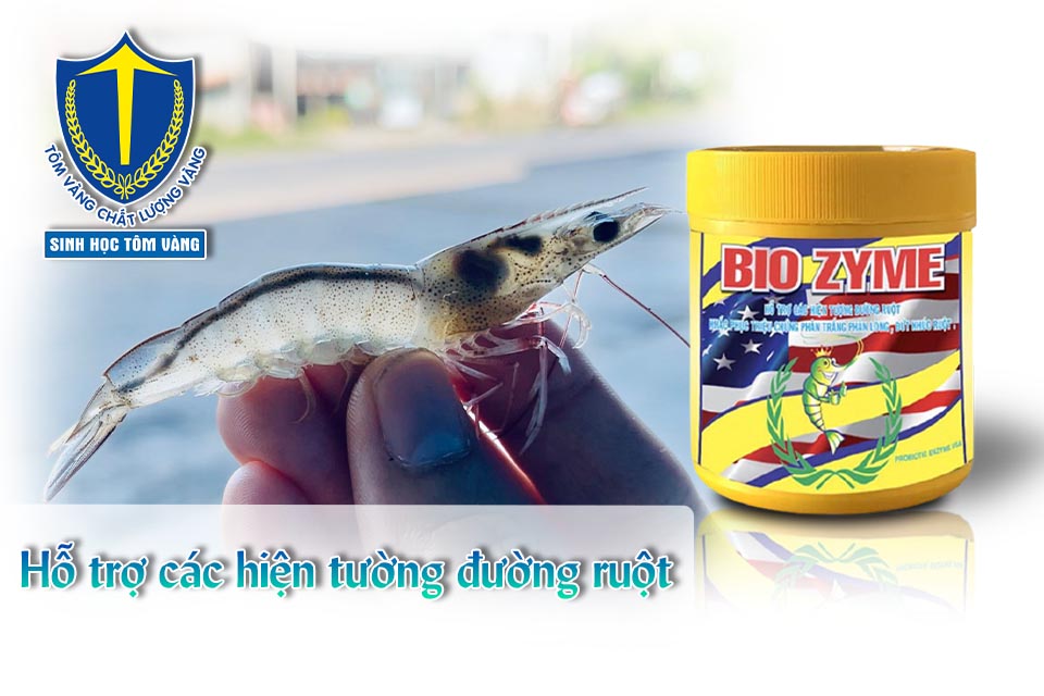 thuốc biozyme