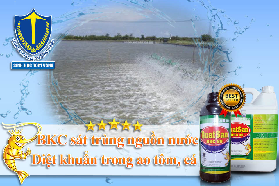 thuốc diệt khuẩn bkc