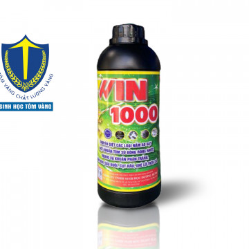 tôm bị đốm đen - SINH HỌC TÔM VÀNG