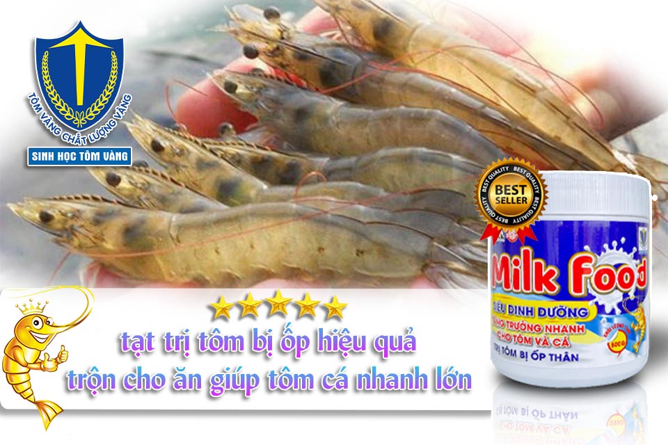 tôm bị ốp thân-sinh học tôm vàng