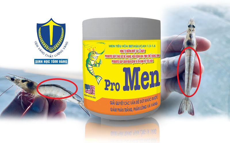 vi sinh đường ruột cho tôm