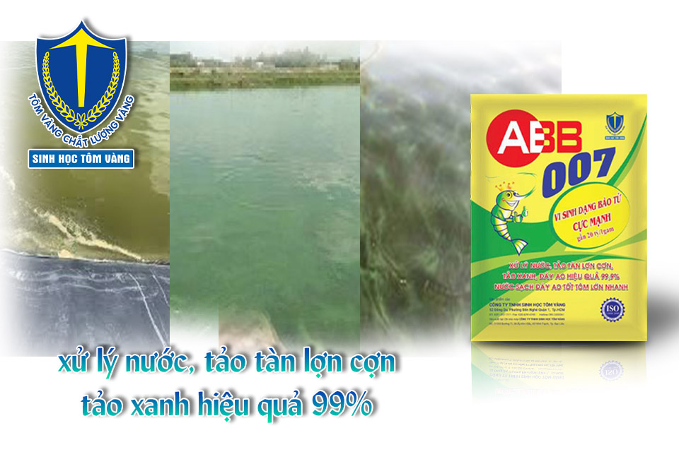 vi sinh xử lý nước
